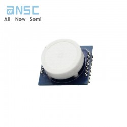 Hot selling DS-HCHO Digital...