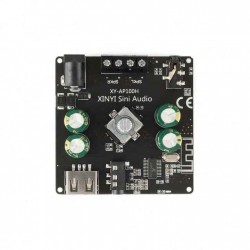 XY-AP100L 100W Stereo...