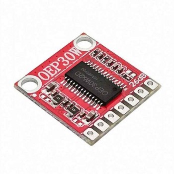 OEP30W Mono digital power...