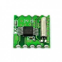 FM module Radio module...