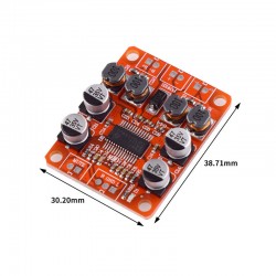 TPA3110 digital amplifier...
