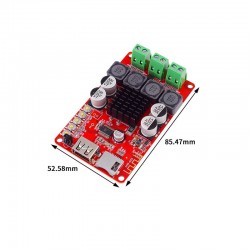 TPA3116 2 * 50W dual...