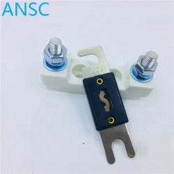 Cheap Automotive fuses 200A...