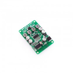 2TPA3110 Bluetooth...