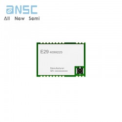 E29-400M22S SMD long range...