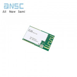 Hot selling E28-2G4T12S...