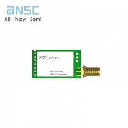 E22-230T22D SX1262 LoRa...