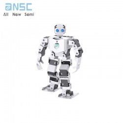 AI Large Model Biomimetic...