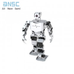 Raspberry Pi Bionic...